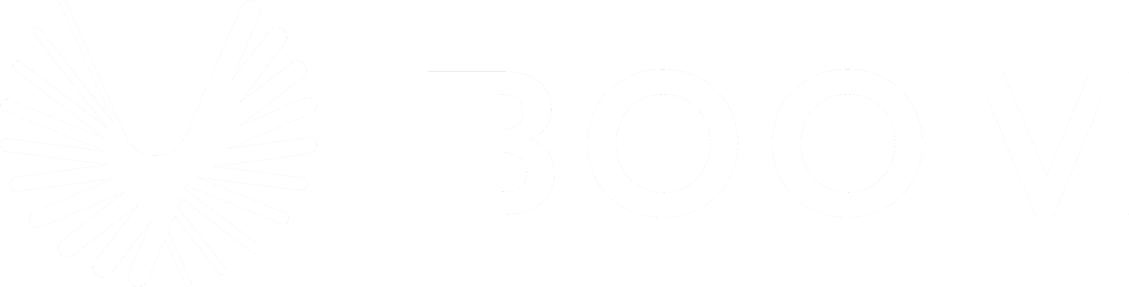 Boom